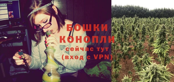 молекула духа Заволжск
