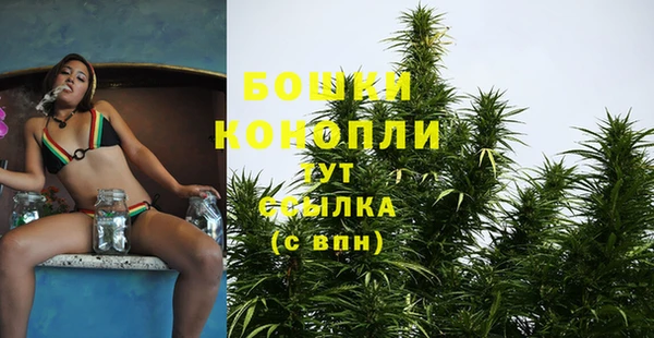 сатива Абдулино