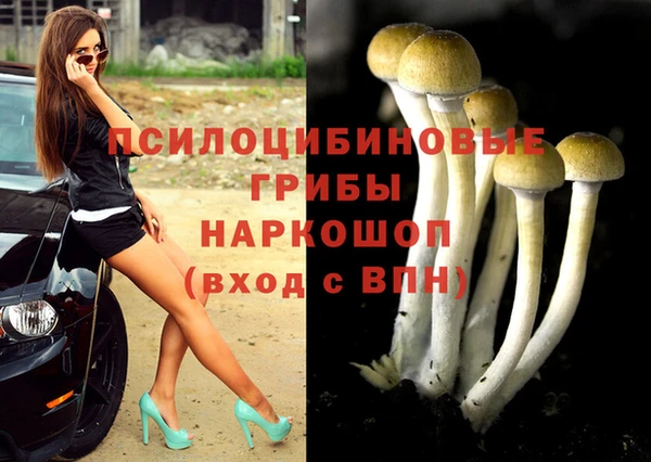 COCAINE Абаза