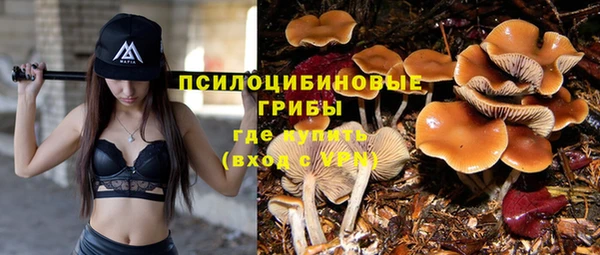 круглые Алексеевка