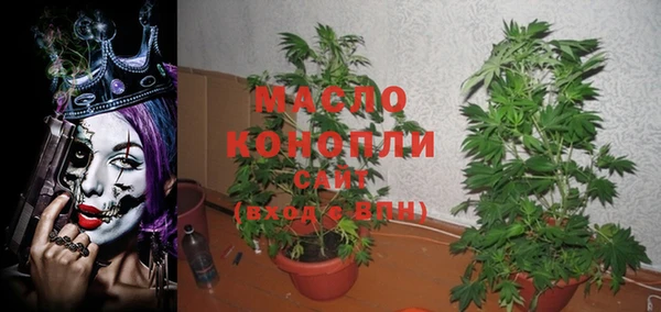 прущие грибы Вязьма